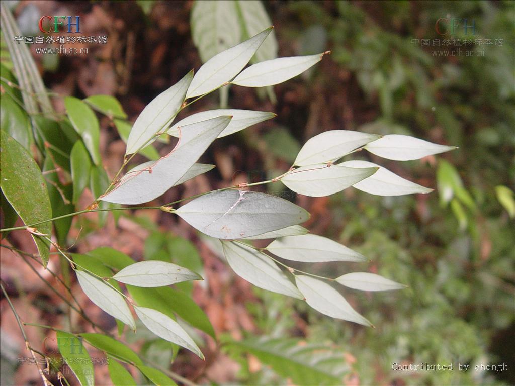 Yabo-关于C€焣遯叶oF)UkL-獨并的信息-Yabo